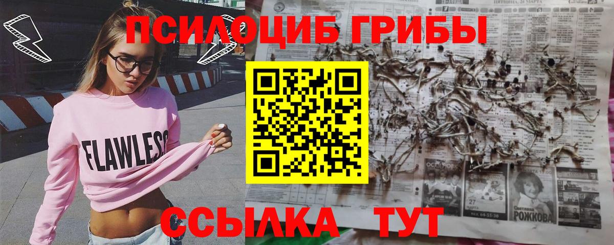 Псилоцибиновые грибы мицелий Екатеринбург