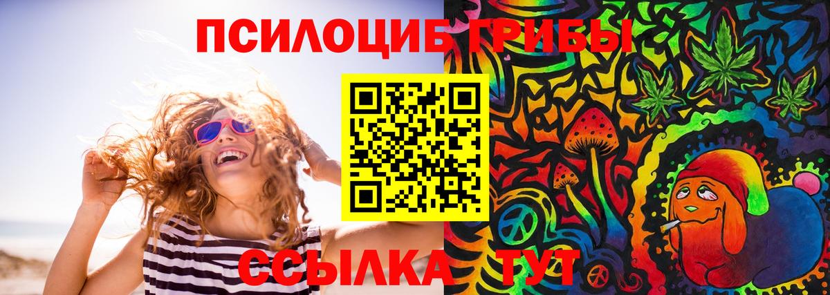 Псилоцибиновые грибы мухоморы  Вход с VPN  Екатеринбург  как найти закладки  Псилоцибиновые грибы Psilocybe 